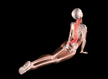 Ascendens - Ambulanta za fizikalnu terapiju i rehabilitaciju